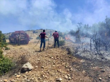 Kilis’te çıkan orman yangını kısa sürede söndürüldü