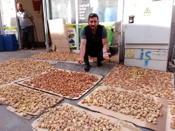 Kilis'te İncirler kurutulmaya başladı