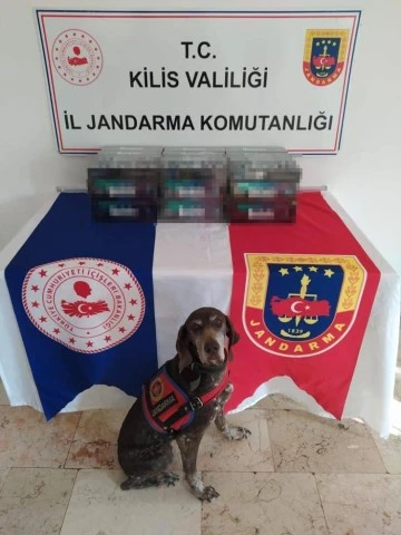 Kilis’te kaçak sigara operasyonu