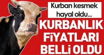 Kilis’te Kurban fiyatları belli oldu