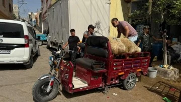 Kilis'te kurbanlıklar sepetli motosikletlerle taşındı