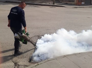 Kilis'te larva ile mücadele çalışmaları başladı