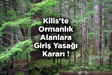 Kilis’te ormanlık alanlara girişler yasaklandı