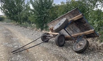 Kilis’te otomobil ile at arabası çarpıştı: 3 yaralı