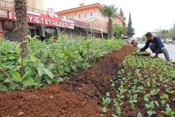 Kilis’te Parklara kış bitkileri dikiliyor