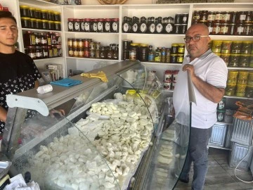 Kilis’te taze peynirin kilosu 150 TL’ye düştü