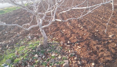 Kilisli çiftçiler akıllı sulama ile tasarrufu sağlıyor [ÖZEL HABER]