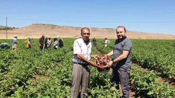 KİZO Başkanı Kara : &quot;Çiftçilerimiz ile hemhal olmaya devam ediyoruz&quot;