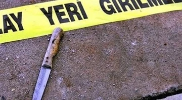 Komşular arasında çıkan kavgada 2 yaralı