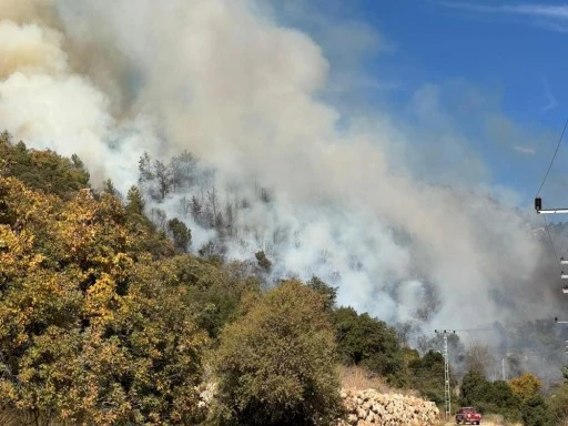 Kumluca'da orman yangını