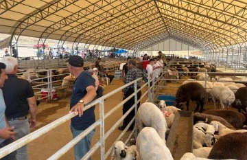 Kurban bayramı öncesi kurban pazarı hareketliydi