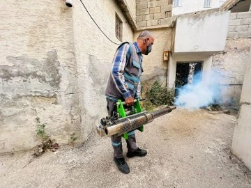 Larva ve sineklere karşı ilaçlama devam ediyor