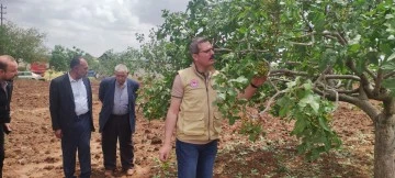 M. NURİ KÖKÇÜOĞLU “DOLU ZARARINDAN DOLAYI HASAR TESPİTİNE BAŞLADIK”