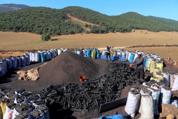 MANGAL KÖMÜRÜNÜN ZORLU YOLCULUĞU