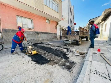 Mazgallarda temizlik aralıksız sürüyor