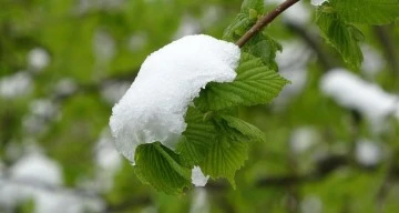 Meteorolojiden zirai don uyarısı