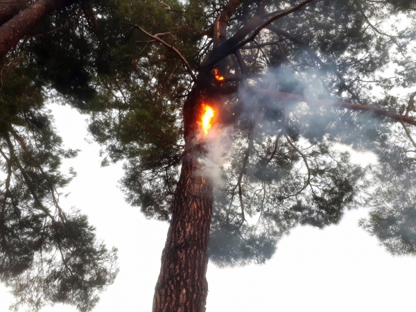 Muğla’da 12 günde 48 yıldırım yangını
