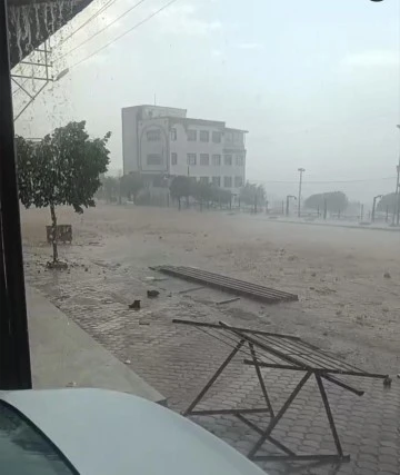 Musabeyli'de aniden bastıran yağmur ekili alanlara zarar verdi