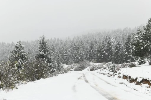 Ordu yaylalarında görsel kar şöleni