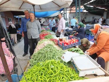 Organik sezonu başladı