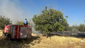 Örtü yangınını itfaiye ve vatandaşlar söndürdü