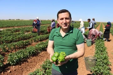 Özdemir, Fiyatlar tarlada başka marketlerde başka