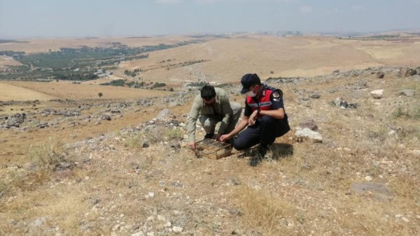 ÖZEL DÜZENEKLE SAKA KUŞU AVLAYAN KAÇAK AVCILAR JANDARMAYA YAKALANDI