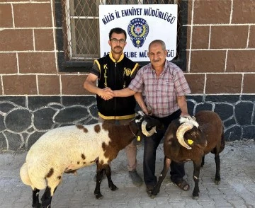 Polis Kilis’te 9 ayrı hırsızlık olayını aydınlattı