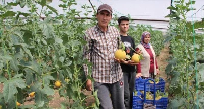 &quot;Bu mevsimde olmaz&quot; dediler, 2 ton hasat yapıp kilosunu 200 TL’den sattı