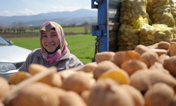 &quot;Patates diyarı&quot;nda çiftçiler ekim mesaisinde