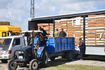 Şahinbey Belediyesi’nin Çiftçilere  vermiş olduğu Fide Desteği 33 Milyonu buldu