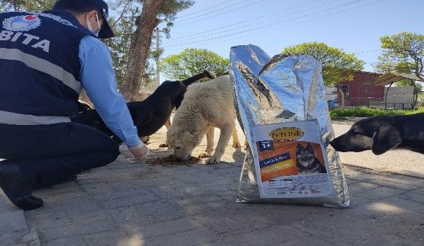 ŞAHİNBEY’DE SOKAK HAYVANLARI UNUTULMUYOR