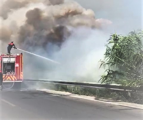 Söke’de karayolu kenarındaki yangın korkuttu
