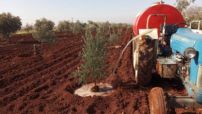 Son çare Ağaçları Tankerlerle Suluyorlar