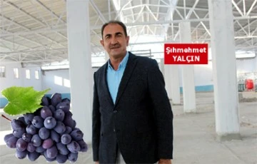 Son Dakika!&quot;Cumhurbaşkanımızla görüştük, Üzüm üreticilerimiz ayın 25'ine kadar hasat yapmasın&quot;