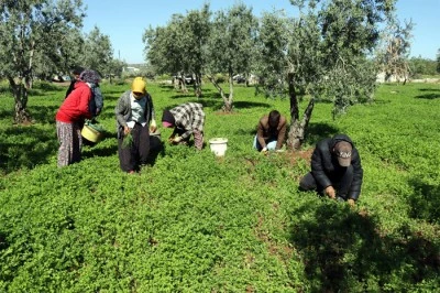 Tarım-ÜFE arttı