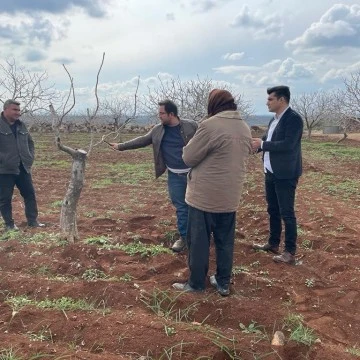 Tarım ve Orman İl Müdürlüğü ekipleri, Antepfıstığı bahçelerin de çiftçileri bilgilendirdi