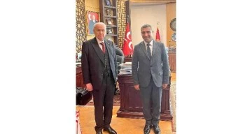 Taşdoğan, Devlet Bahçeli'ye rapor sundu