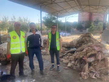 Türk Hava Kurumu Bayramda derileri topladı