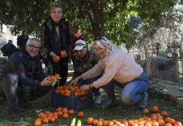 Turunçları reçele dönüştürüyorlar