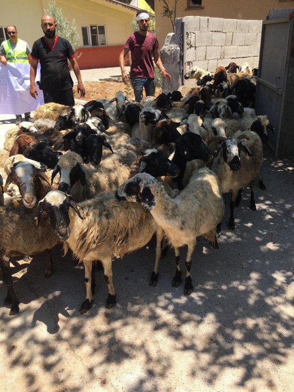 ÜLKÜ OCAKLARI KURBAN ETİ DAĞITIMI YAPTI