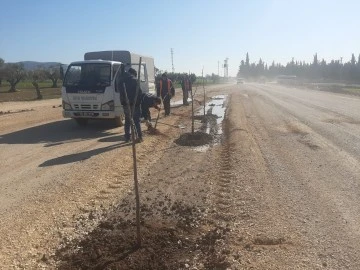 Yeni açılan cadde ve bulvarlara ağaç dikimi yapıldı