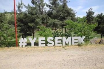 Yesemek için mahkeme o karara “dur” dedi