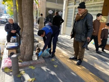 Zabıta ekipleri, sokak hayvanlarını besledi