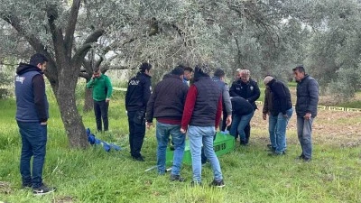 Zeytin bahçesinde cansız bedeni bulundu